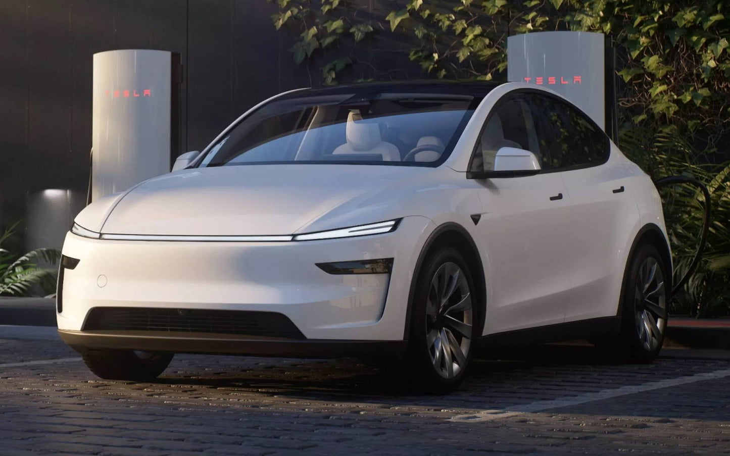 Tesla Model Y 19" Winter Package