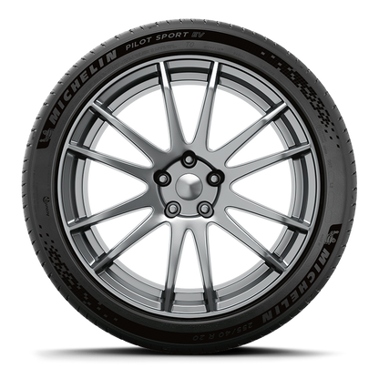 Michelin Pilot Sport EV